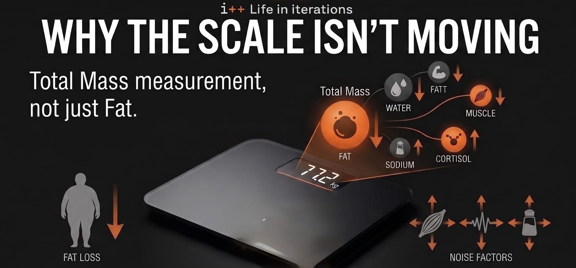 Diagram of factors that cause the scale to stall even while fat loss continues, like water retention and glycogen