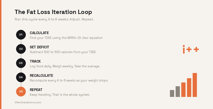 Illustration representing TDEE (Total Daily Energy Expenditure) as the starting point for fat loss